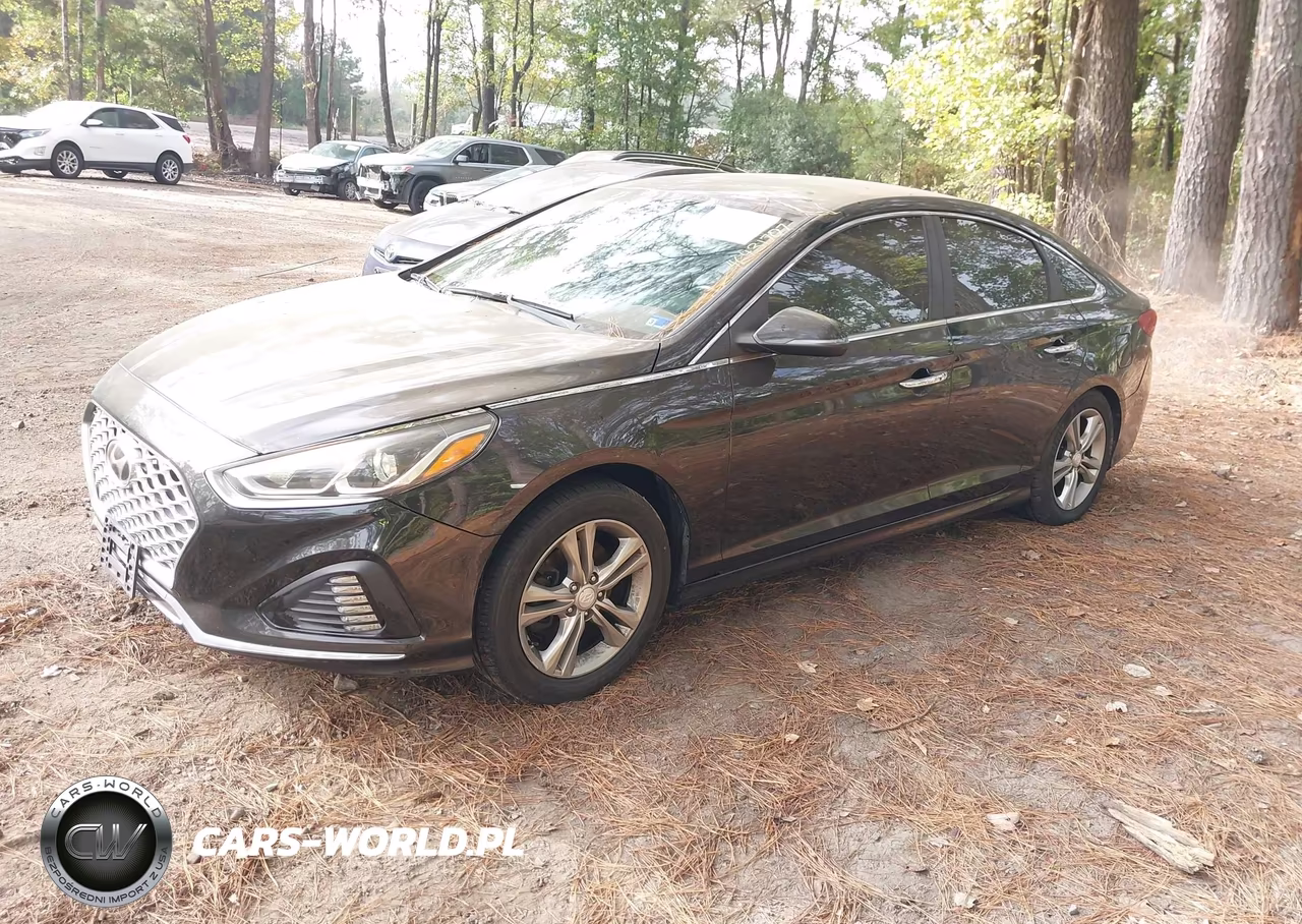 2018 Hyundai Sonata Sel+ VIN:5NPE34AF2JH710478 - 2