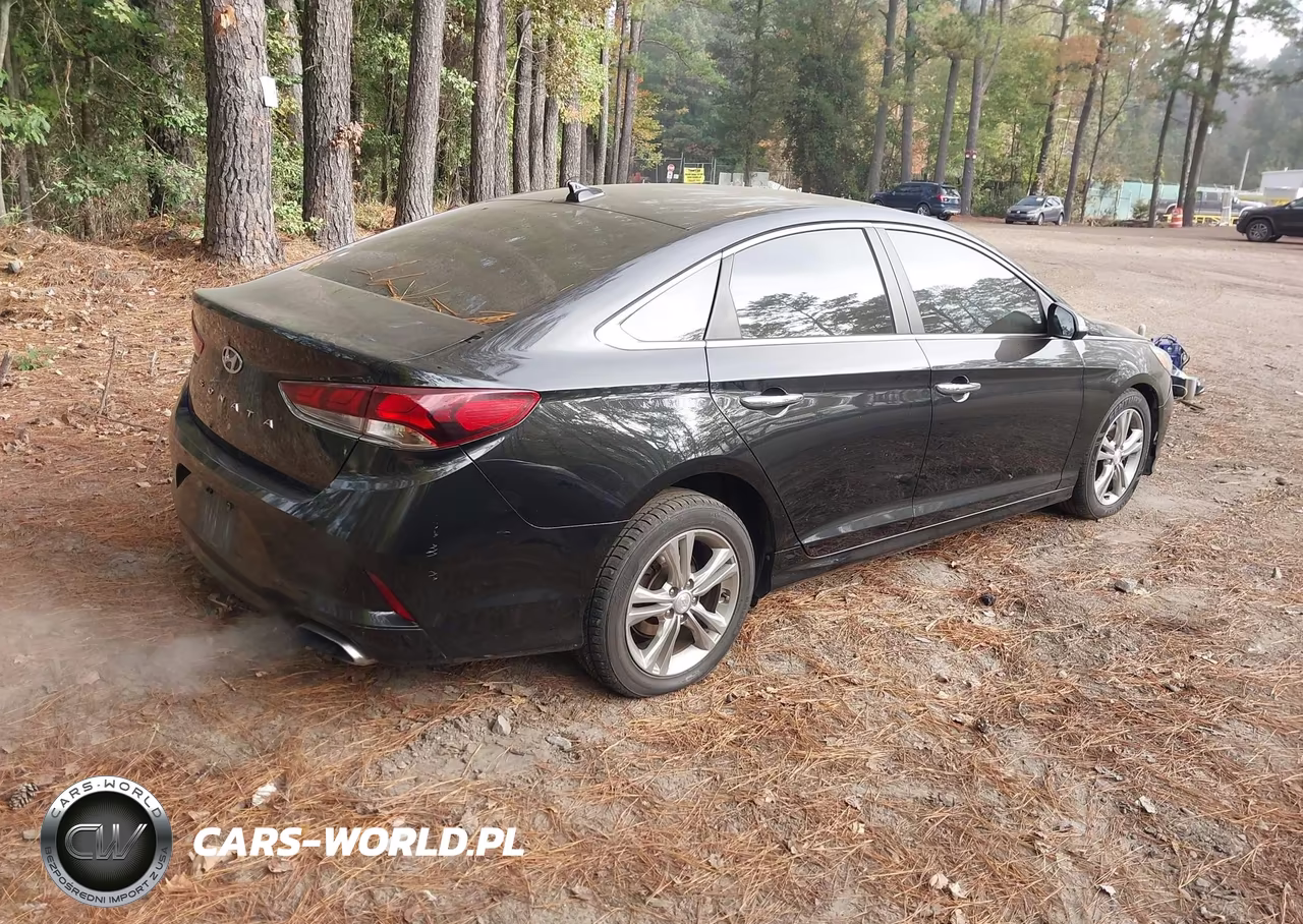 2018 Hyundai Sonata Sel+ VIN:5NPE34AF2JH710478 - 4