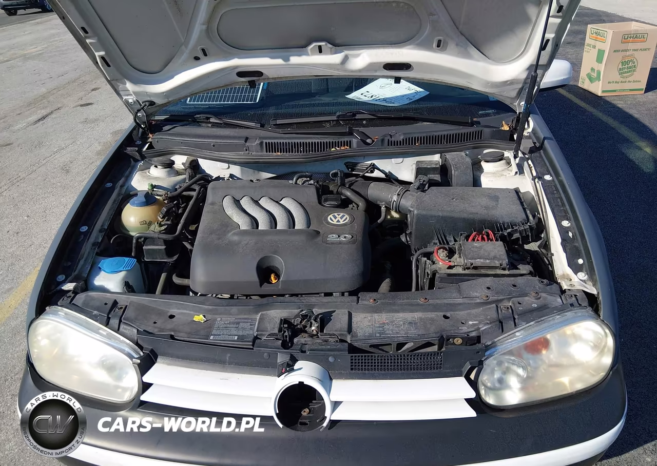 2003 Volkswagen Golf Gls 2.0L VIN:9BWGK61J534006768 - 10
