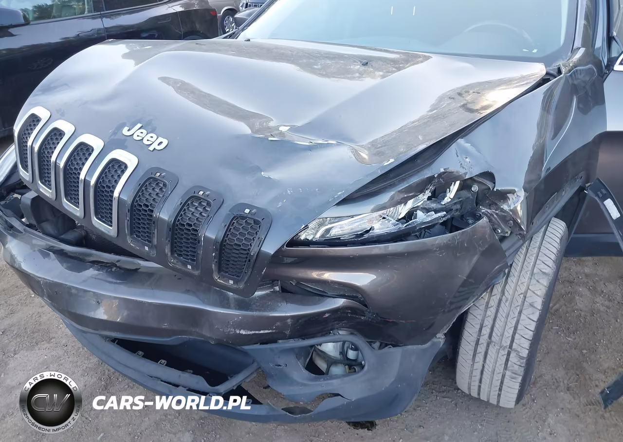 2016 Jeep Cherokee Latitude VIN:1C4PJLCS2GW114258 - 17