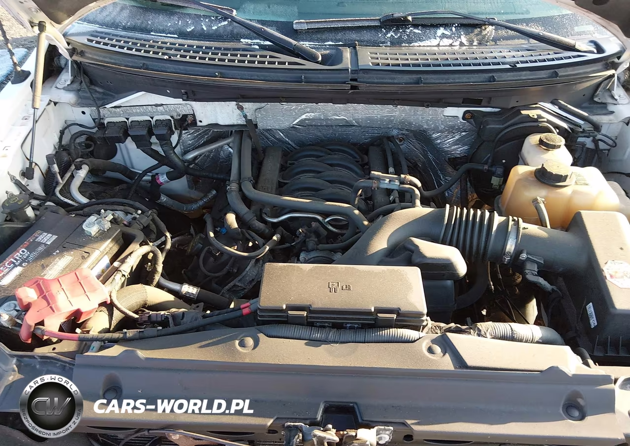 2012 Ford F150 Supercrew VIN:1FTFW1EF5CFC86568 - 10