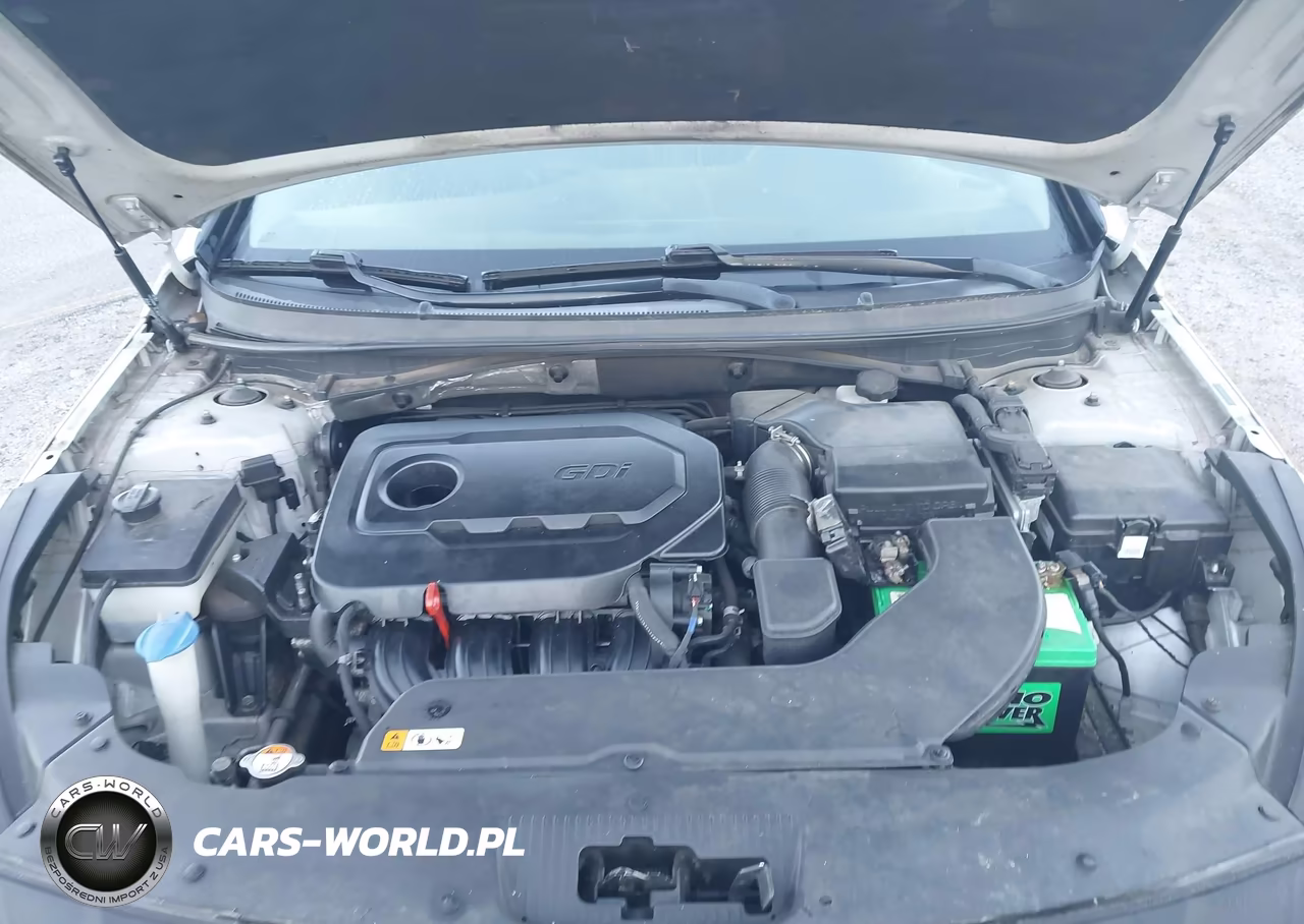 2016 Hyundai Sonata VIN:5NPE24AF8GH406437 - 10