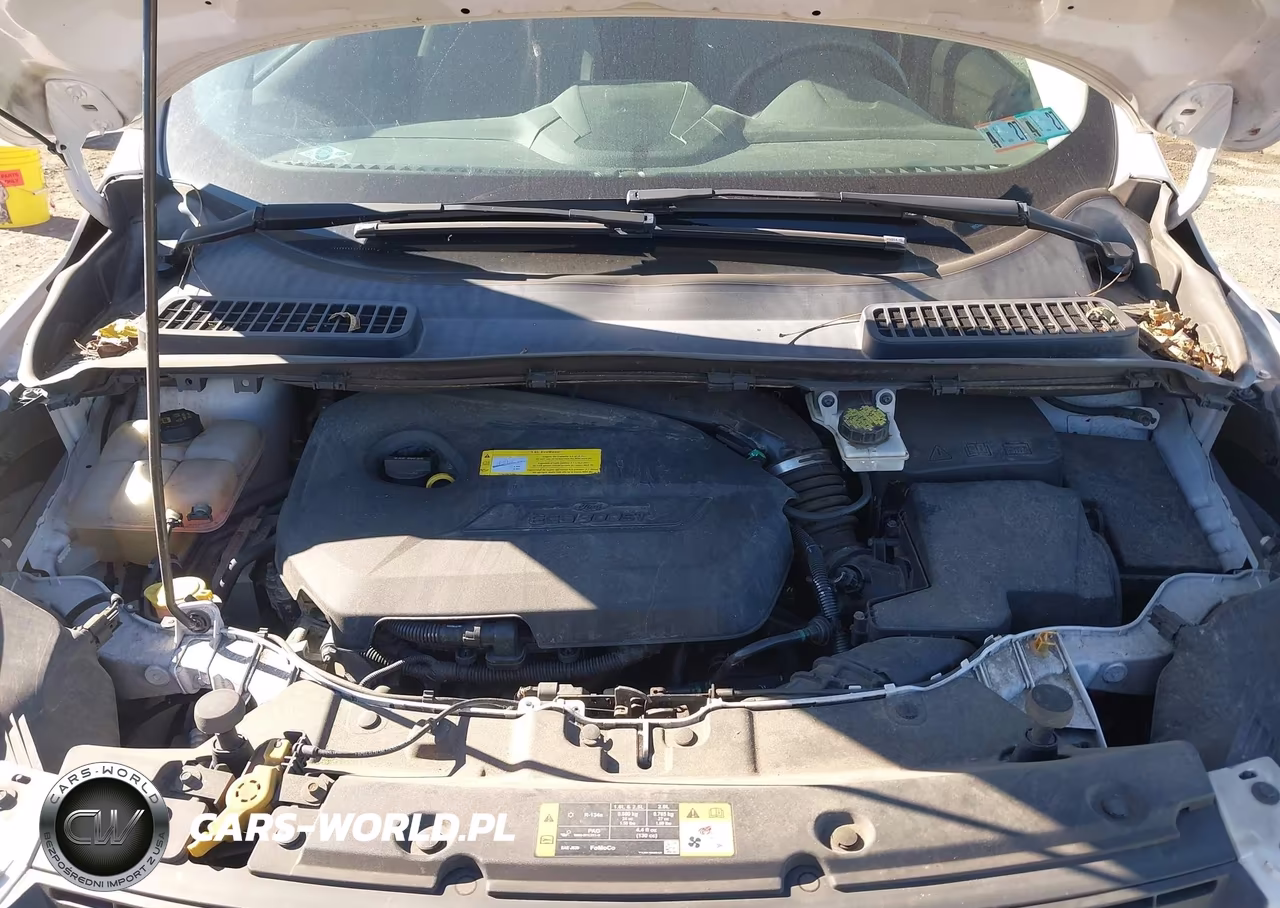 2016 Ford Escape Se VIN:1FMCU0GX6GUA89754 - 10