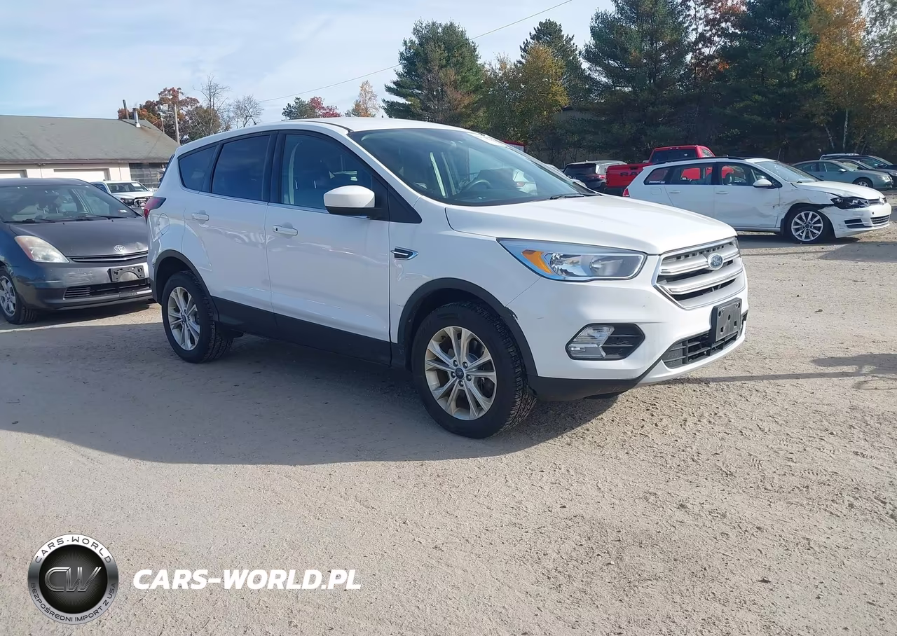 2019 Ford Escape Se