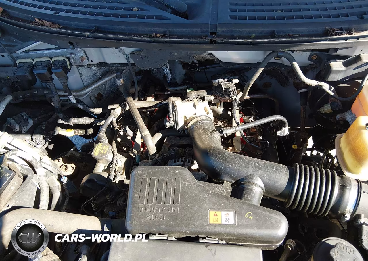 2010 Ford F-150 Stx-Xl-Xlt VIN:1FTMF1EWXAKE68441 - 10