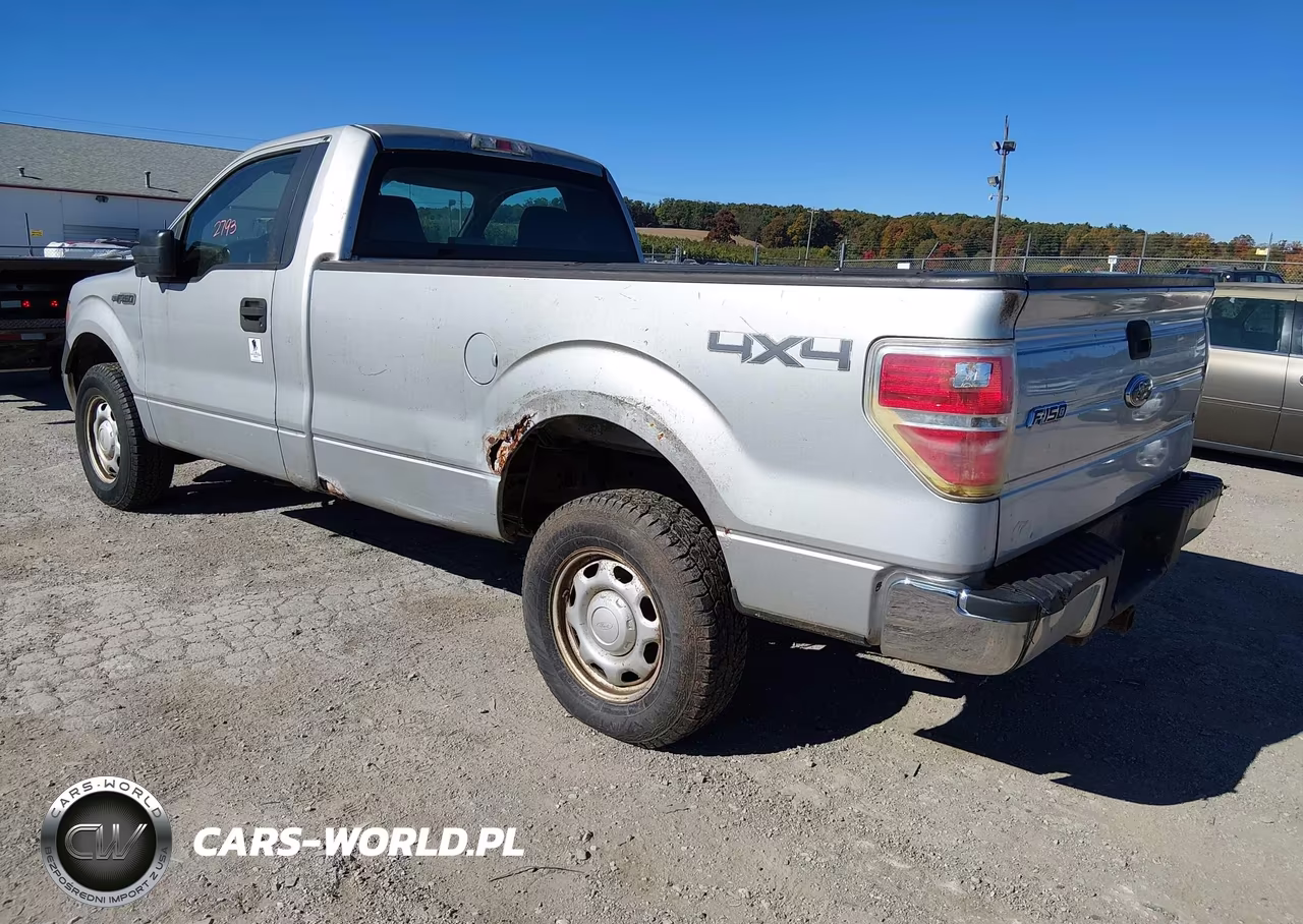 2010 Ford F-150 Stx-Xl-Xlt VIN:1FTMF1EWXAKE68441 - 3