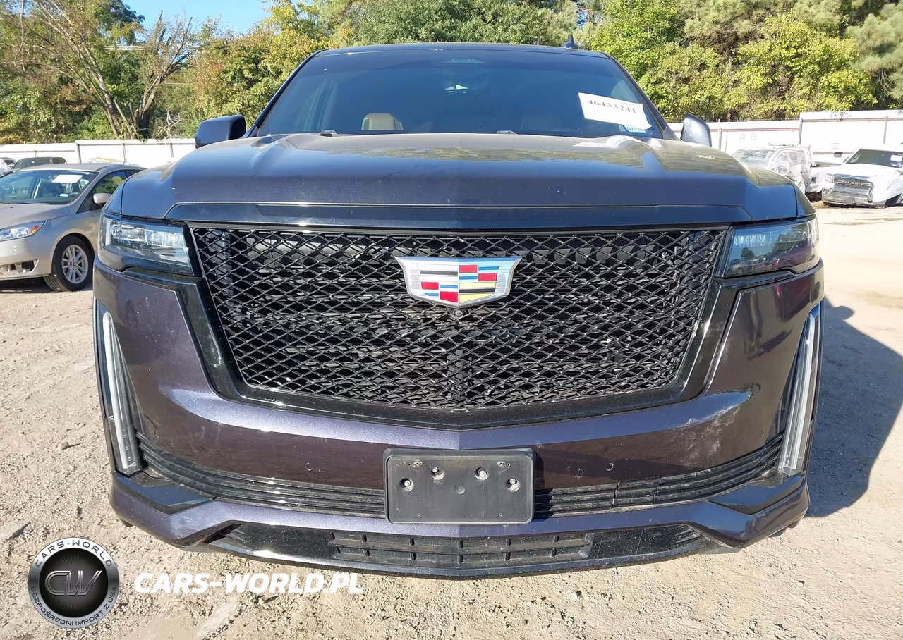 2023 Cadillac Escalade Esv 4Wd Sport VIN:1GYS4PKL1PR391995 - 12