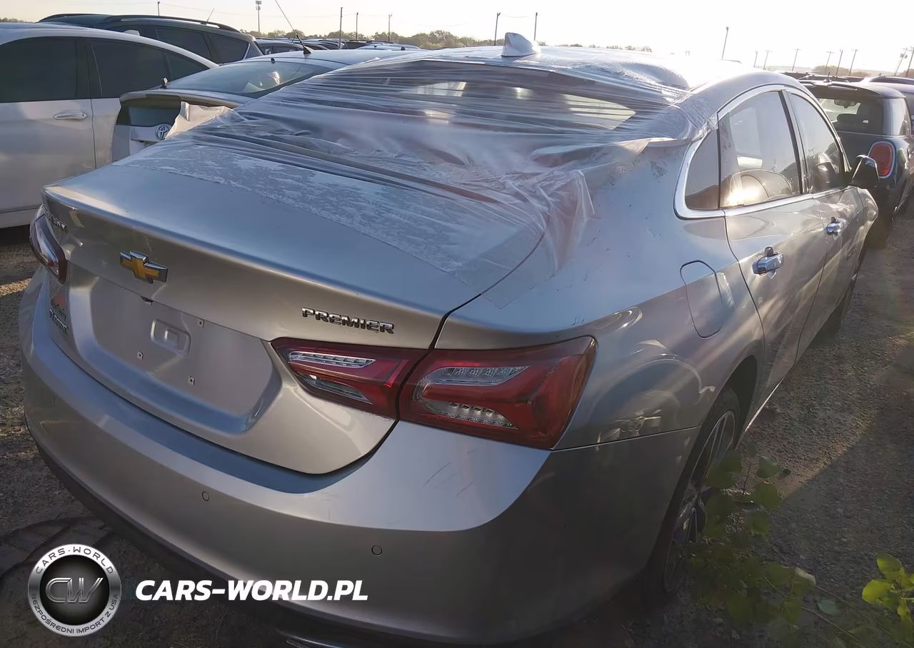 2019 Chevrolet Malibu Premier VIN:1G1ZE5SX8KF218986 - 4