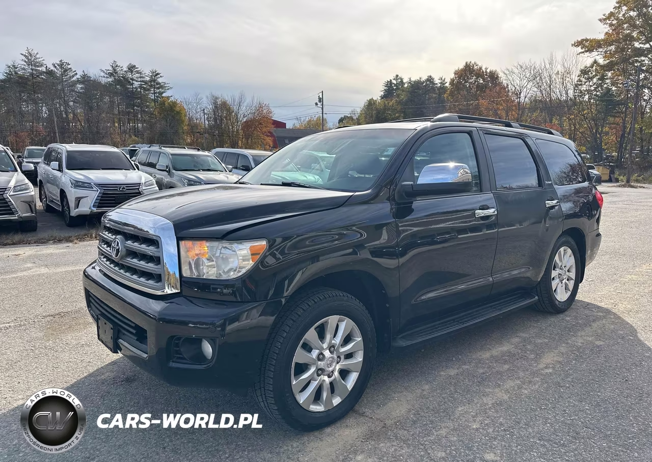 2010 Toyota Sequoia Platinum VIN:5TDDY5G17AS024381 - 2