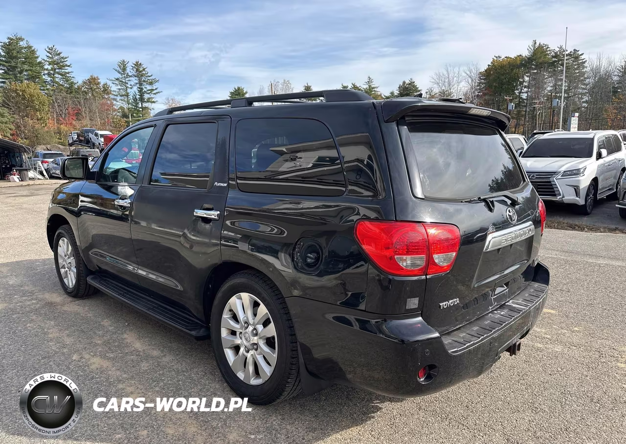 2010 Toyota Sequoia Platinum VIN:5TDDY5G17AS024381 - 3