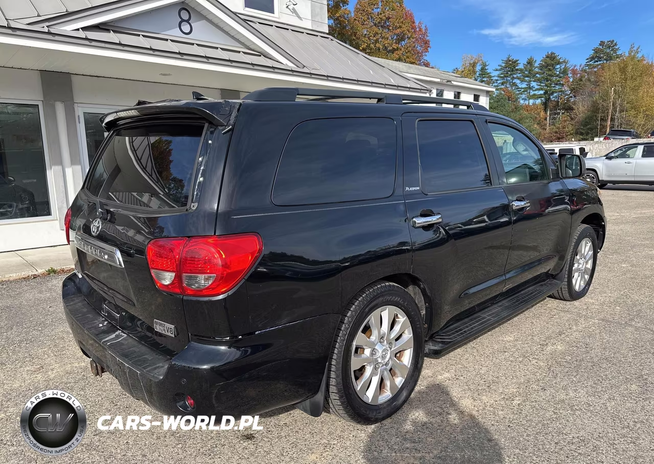 2010 Toyota Sequoia Platinum VIN:5TDDY5G17AS024381 - 4