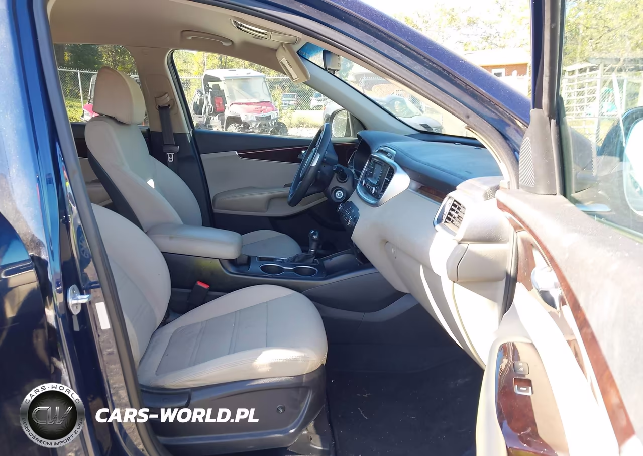 2017 Kia Sorento Lx-L VIN:5XYPGDA58HG222061 - 5