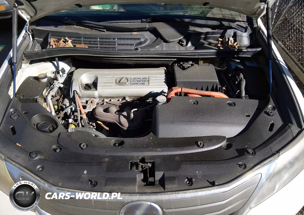 2010 Lexus Hs 250H Premium VIN:JTHBB1BA9A2018239 - 10