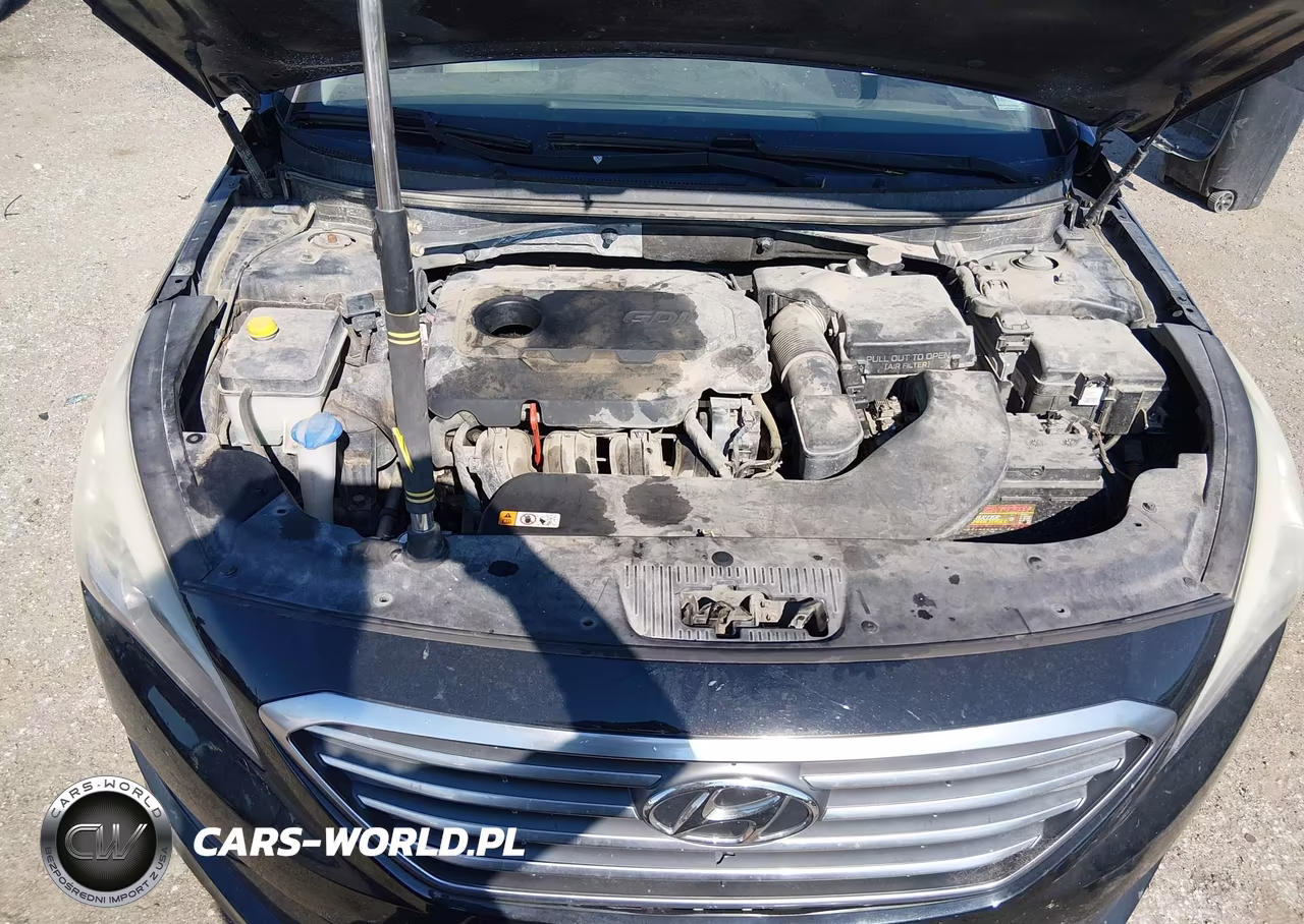 2016 Hyundai Sonata Se VIN:5NPE24AF9GH418595 - 10