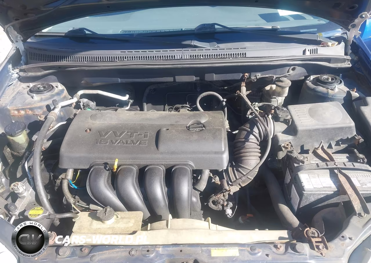2004 Toyota Corolla Ce-Le-S VIN:1NXBR32EX4Z212049 - 10