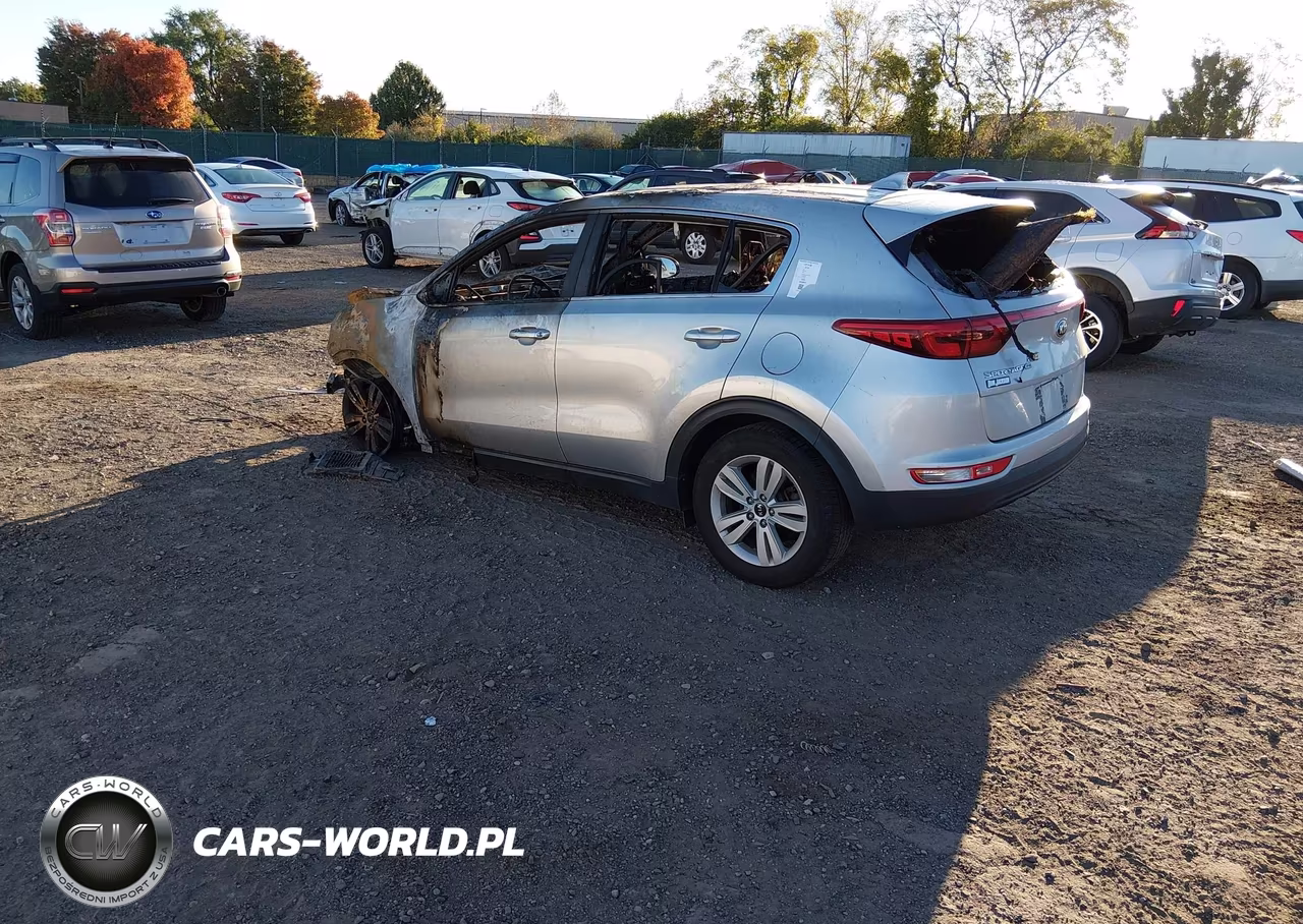 2017 Kia Sportage Lx VIN:KNDPM3AC7H7211308 - 3