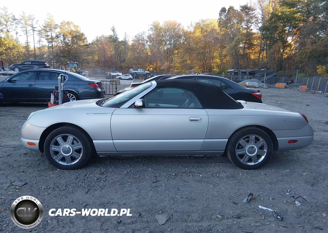 2005 Ford Thunderbird 50Th Anniversary VIN:1FAHP60A95Y105838 - 14
