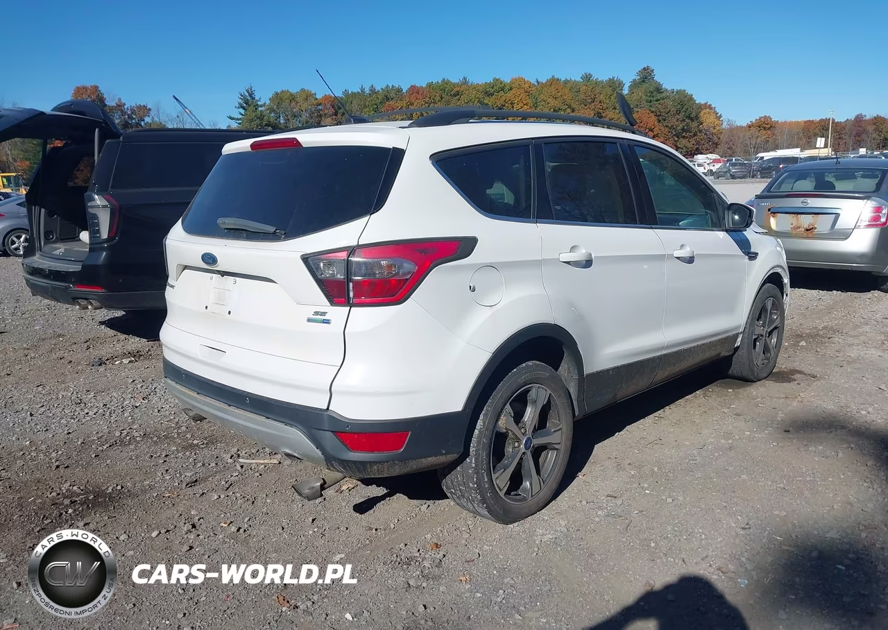 2017 Ford Escape Se VIN:1FMCU9GDXHUB25490 - 4