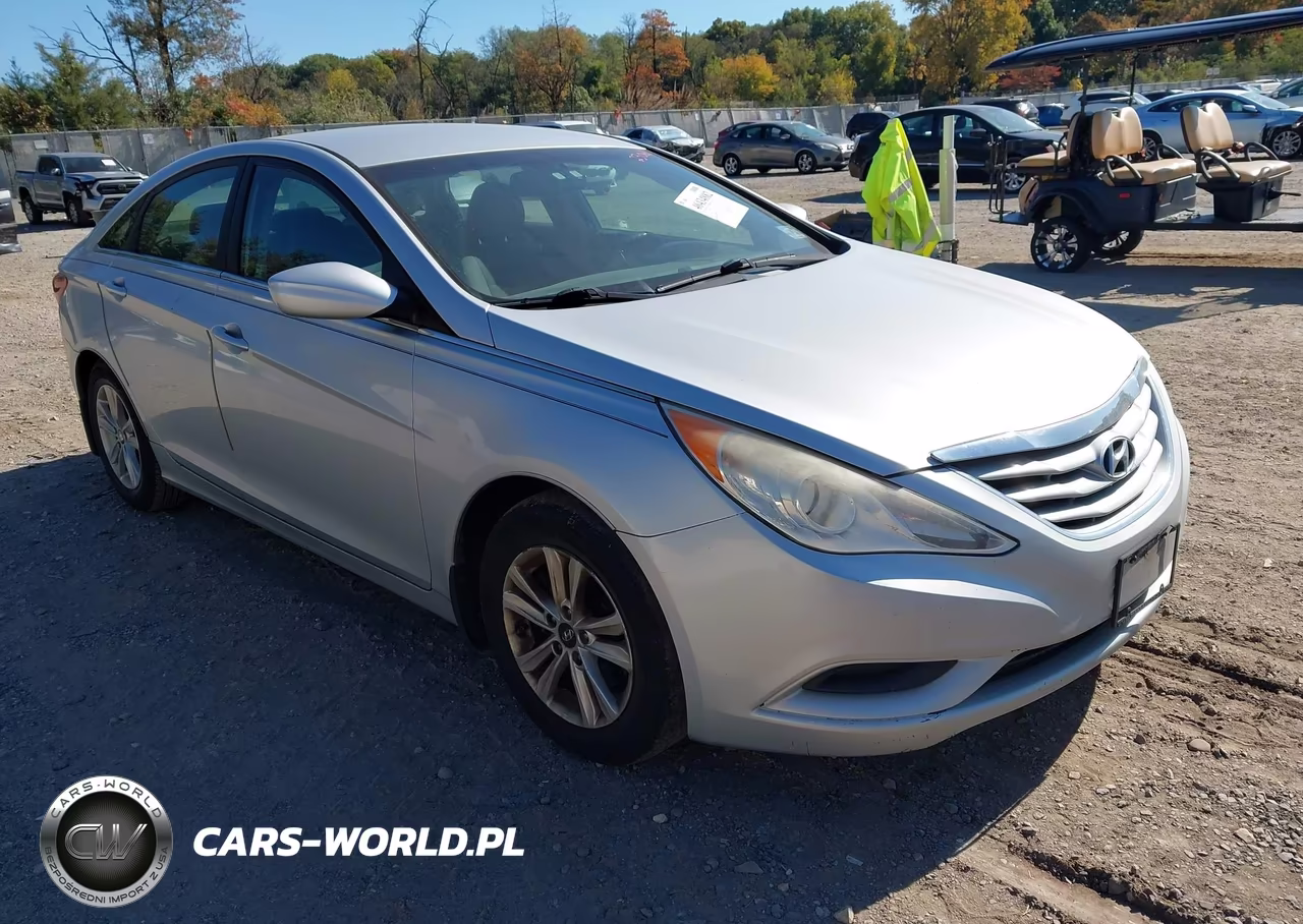 2013 Hyundai Sonata Gls VIN:5NPEB4AC4DH636316 - 1