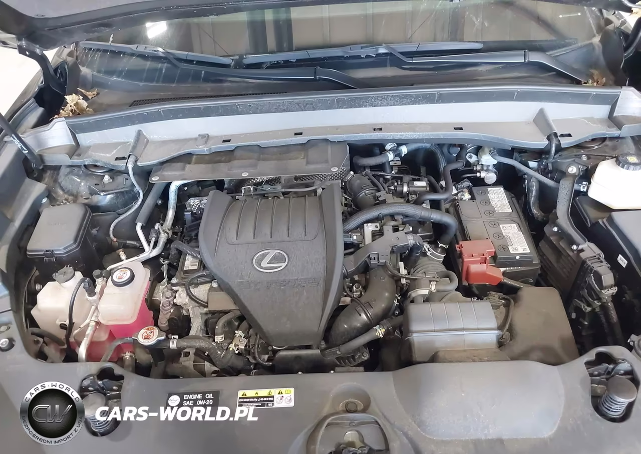 2024 Lexus Tx 350 Premium VIN:5TDAAAB65RS006685 - 10