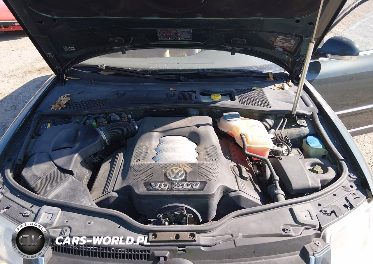 2004 Volkswagen Passat Glx VIN:WVWWH63B64E214034 - 10