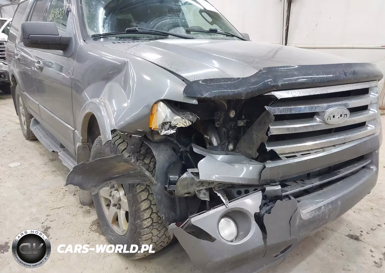 2010 Ford Expedition Xlt VIN:1FMJU1G59AEB60684 - 6