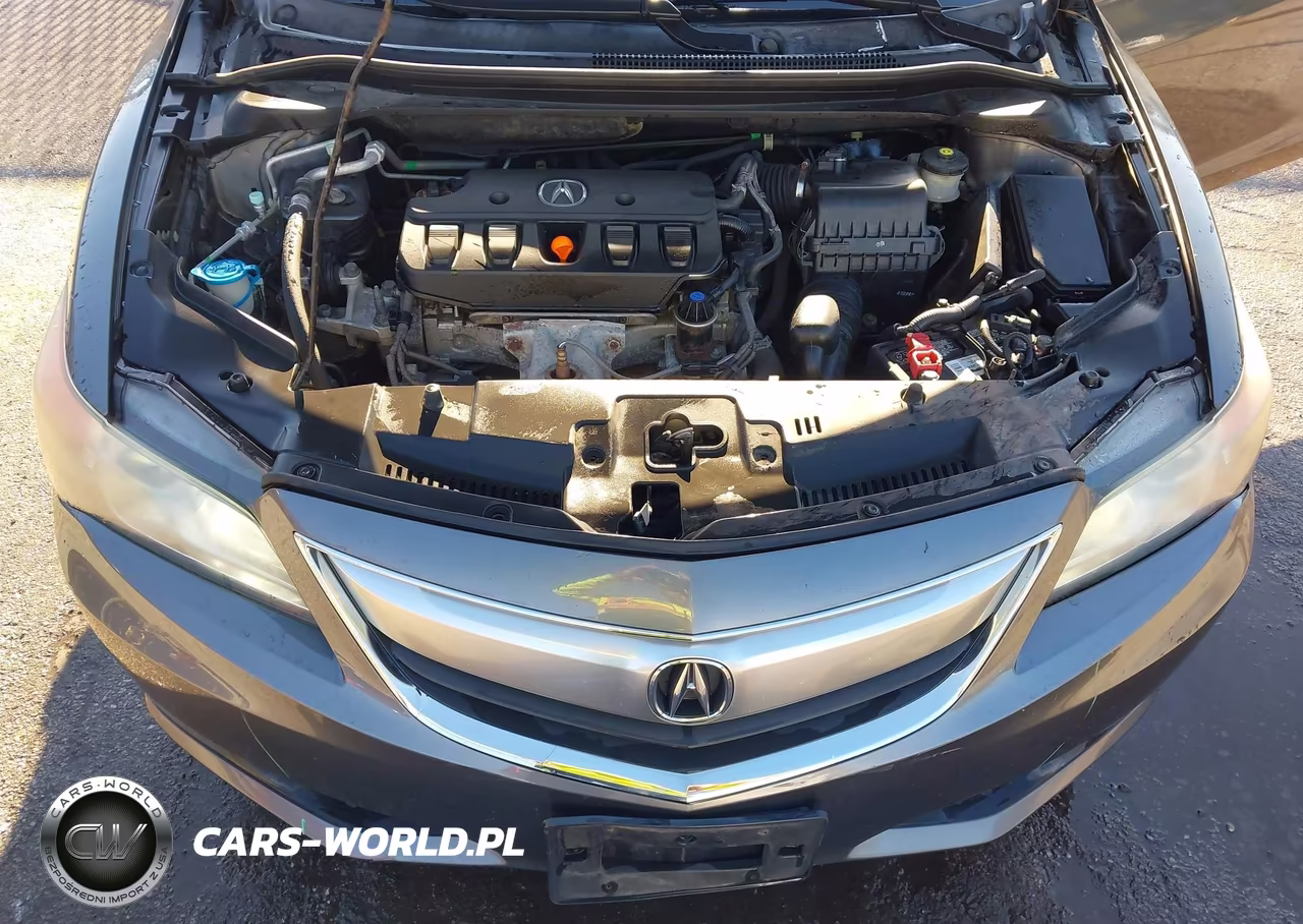 2014 Acura Ilx 2.0L VIN:19VDE1F3XEE013954 - 10