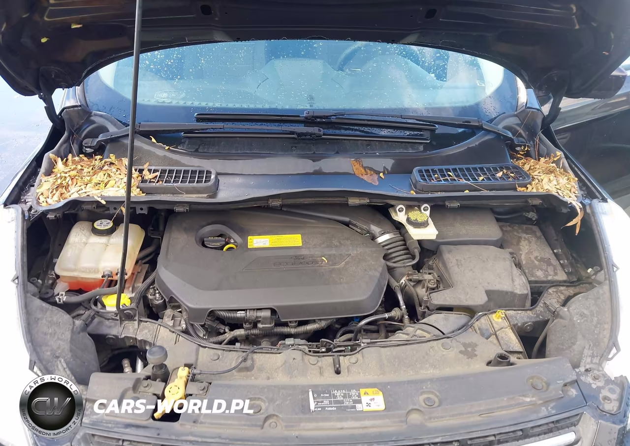 2013 Ford Escape Se VIN:1FMCU0GX7DUA61554 - 10