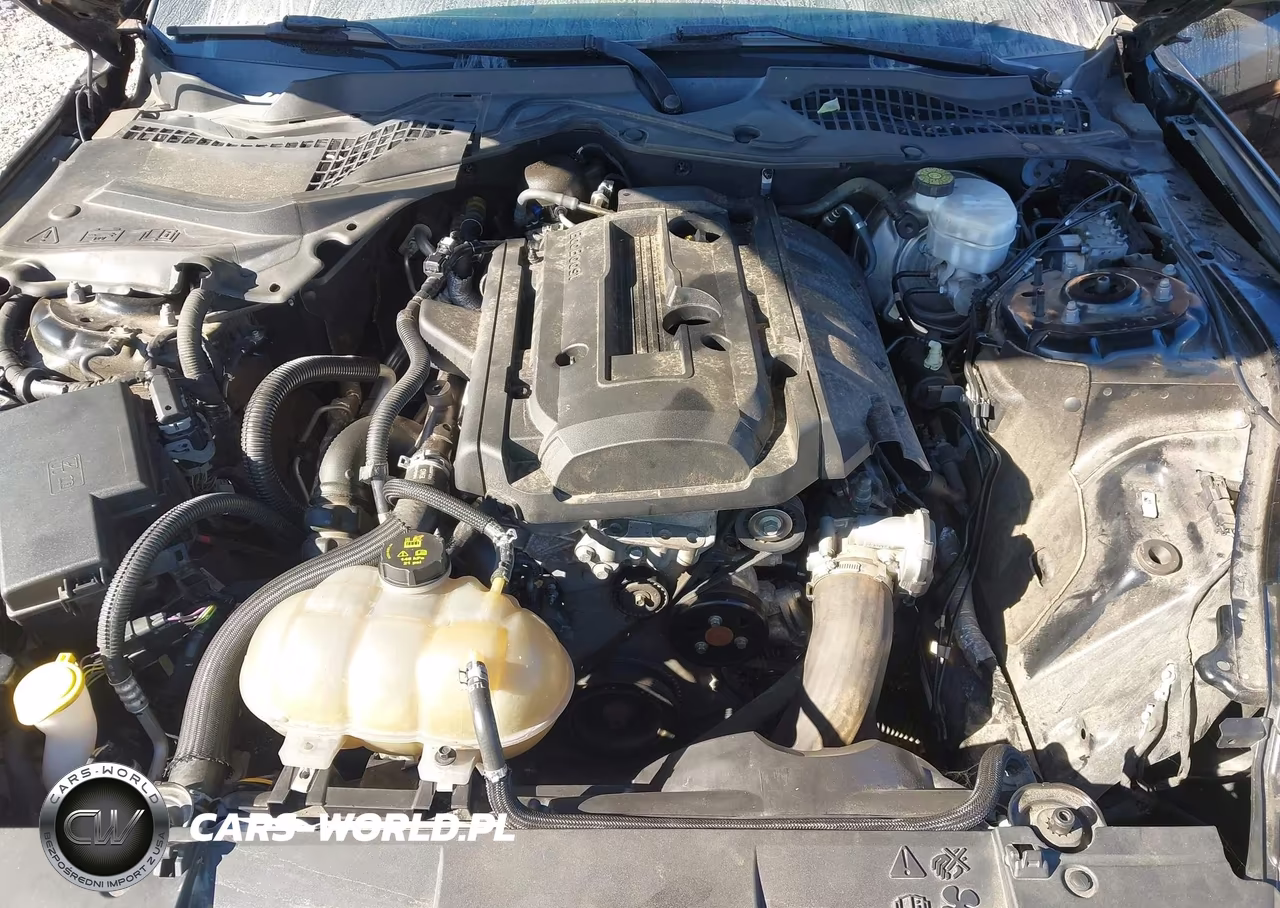 2019 Ford Mustang Ecoboost VIN:1FA6P8TH9K5129307 - 10