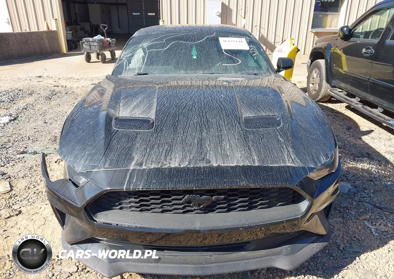 2019 Ford Mustang Ecoboost VIN:1FA6P8TH9K5129307 - 12