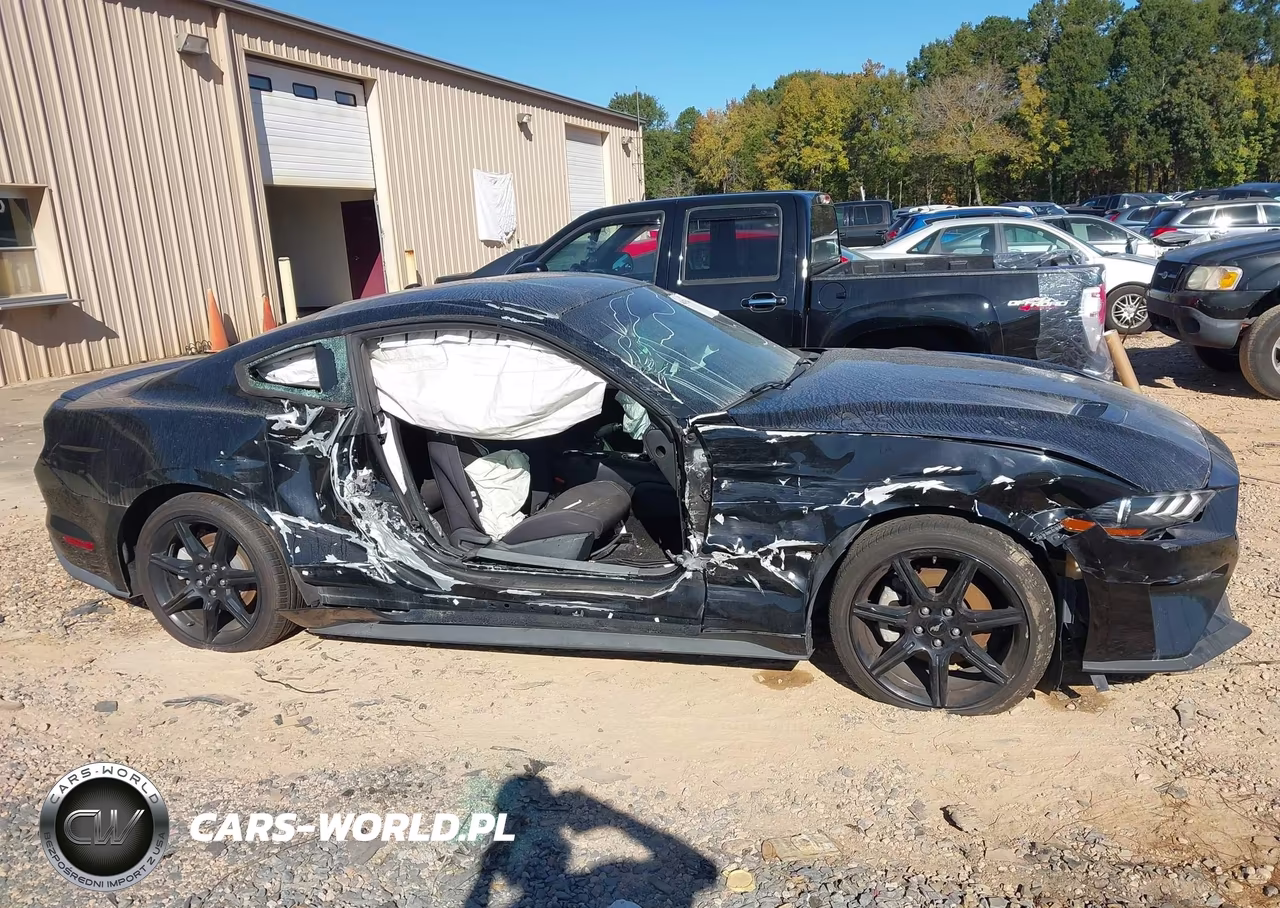 2019 Ford Mustang Ecoboost VIN:1FA6P8TH9K5129307 - 13