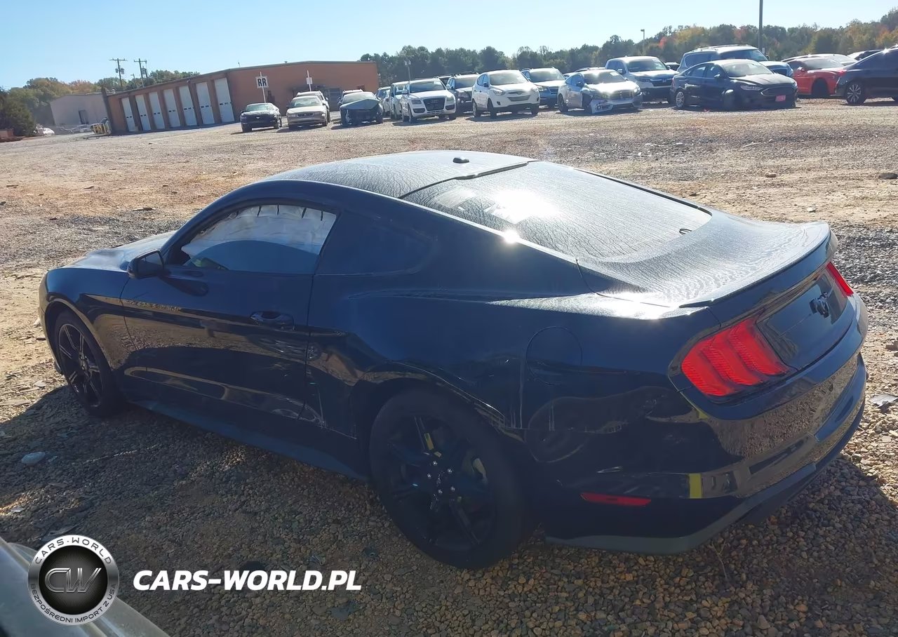 2019 Ford Mustang Ecoboost VIN:1FA6P8TH9K5129307 - 14