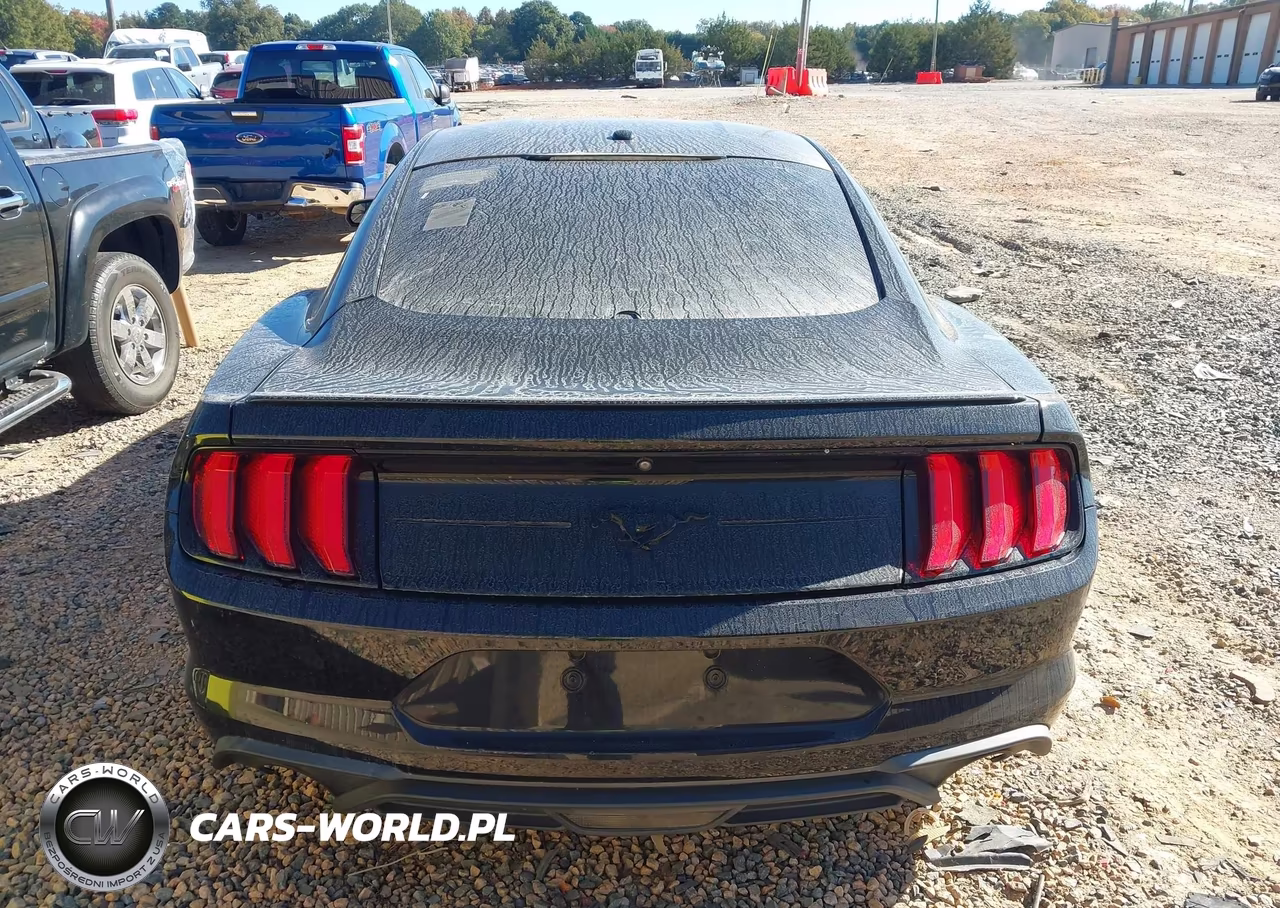 2019 Ford Mustang Ecoboost VIN:1FA6P8TH9K5129307 - 16