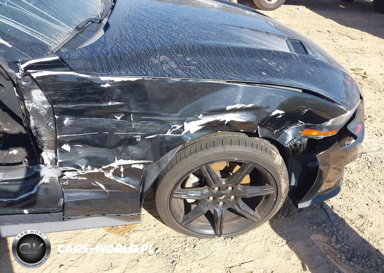2019 Ford Mustang Ecoboost VIN:1FA6P8TH9K5129307 - 17