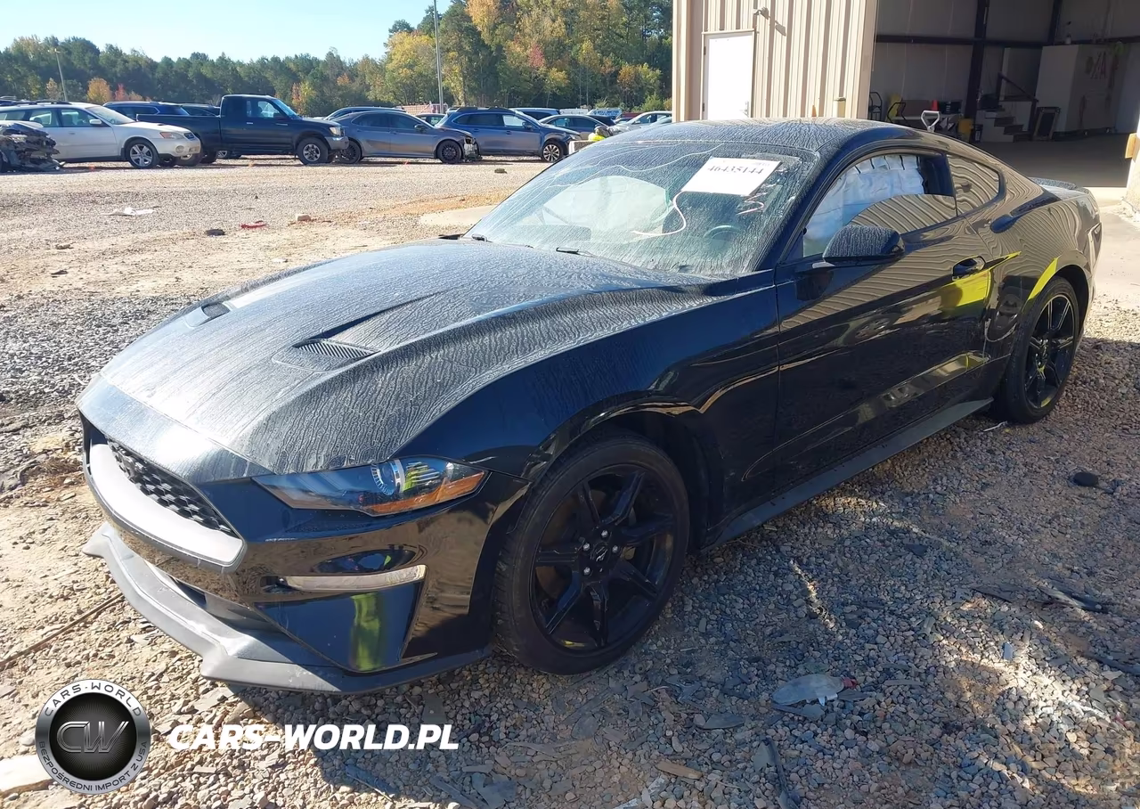 2019 Ford Mustang Ecoboost VIN:1FA6P8TH9K5129307 - 2