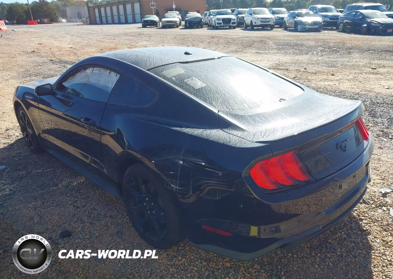 2019 Ford Mustang Ecoboost VIN:1FA6P8TH9K5129307 - 3