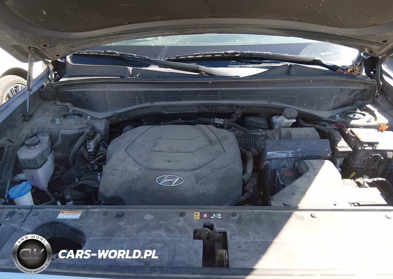 2022 Hyundai Palisade Sel VIN:KM8R3DHE2NU393436 - 10