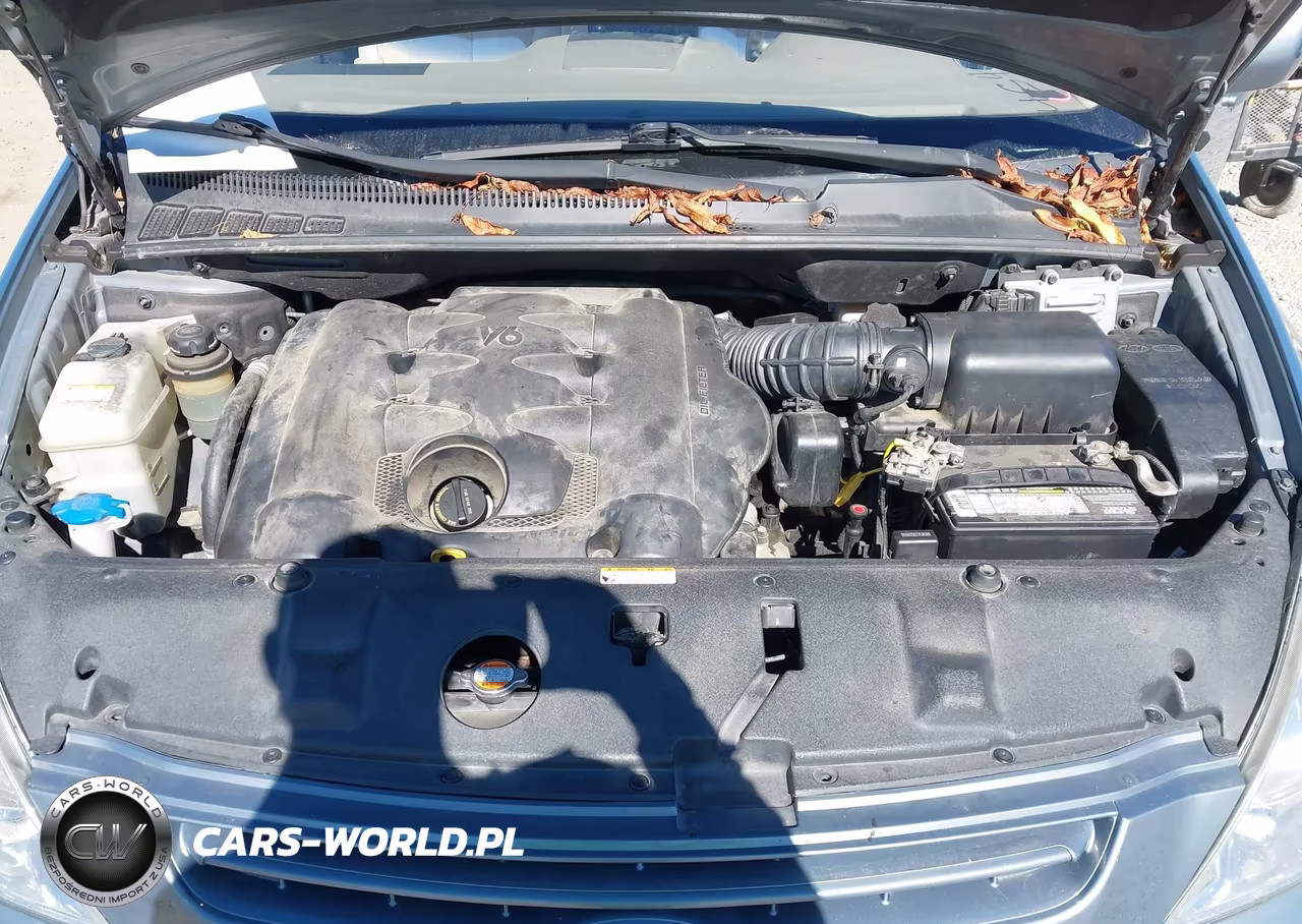 2008 Kia Sedona Lx VIN:KNDMB233X86258256 - 10