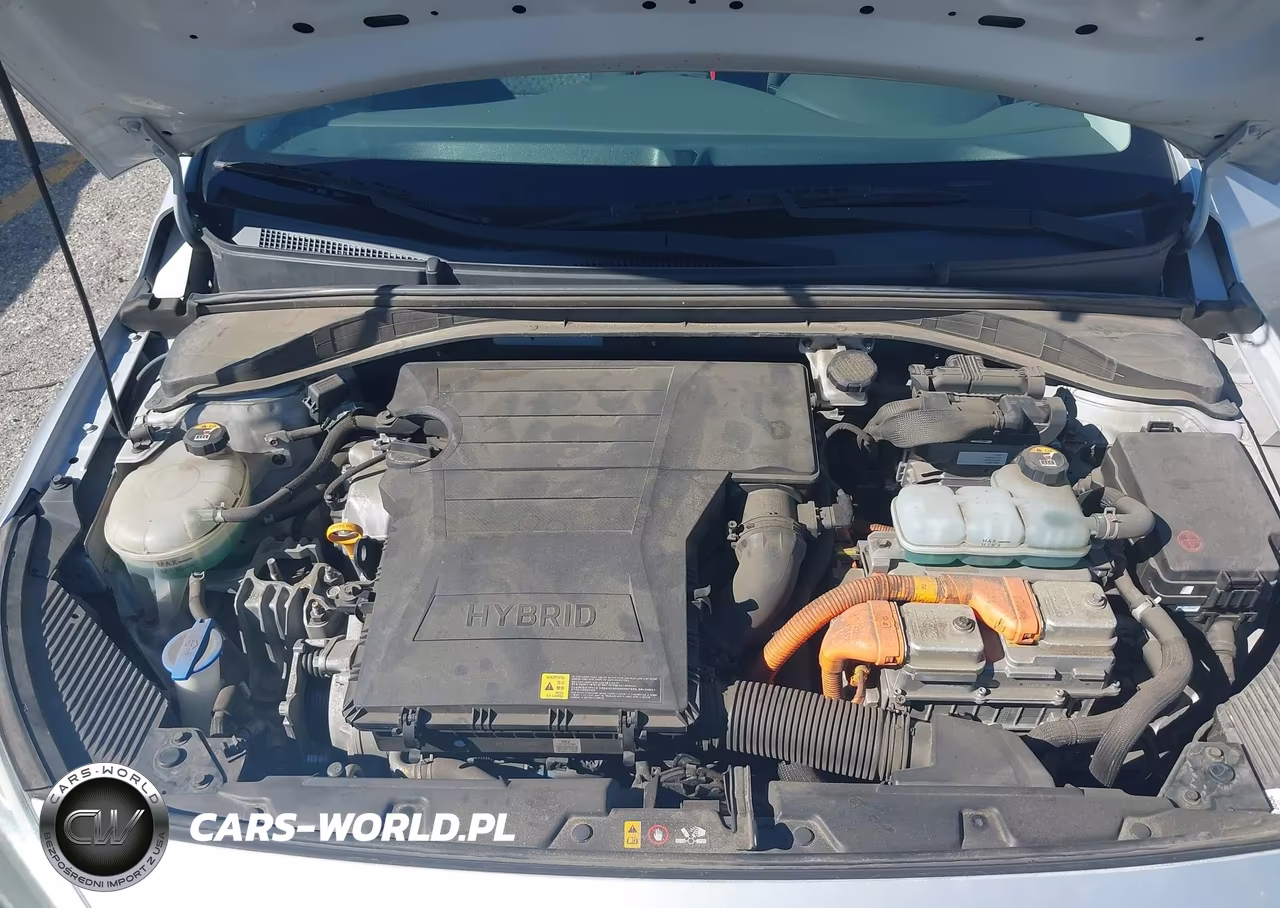 2018 Hyundai Ioniq Blue VIN:KMHC65LC5JU099922 - 10