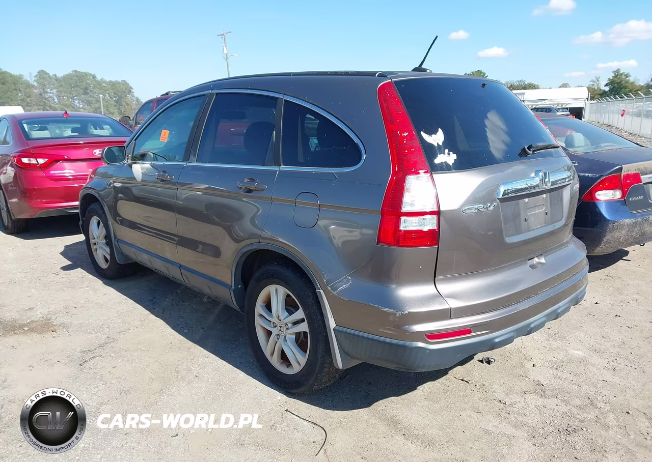 2010 Honda Cr-V Exl VIN:5J6RE4H79AL028701 - 3