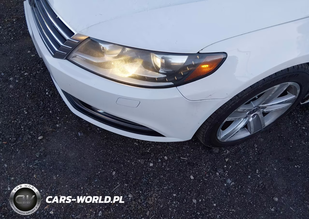2013 Volkswagen Cc 2.0T R-Line-2.0T Sport-2.0T Sport Plus VIN:WVWBP7AN7DE560565 - 6