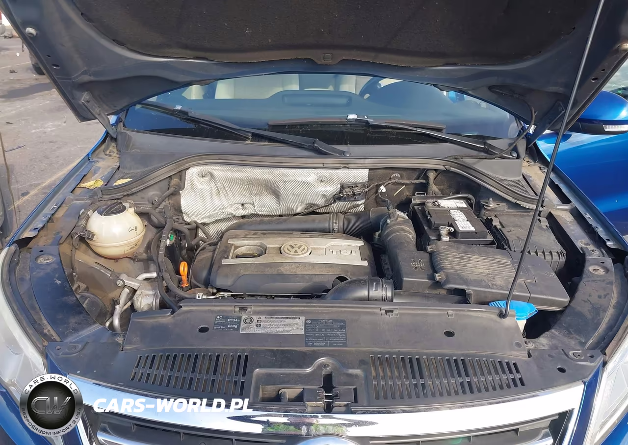 2009 Volkswagen Tiguan Se VIN:WVGAV75N59W529243 - 10