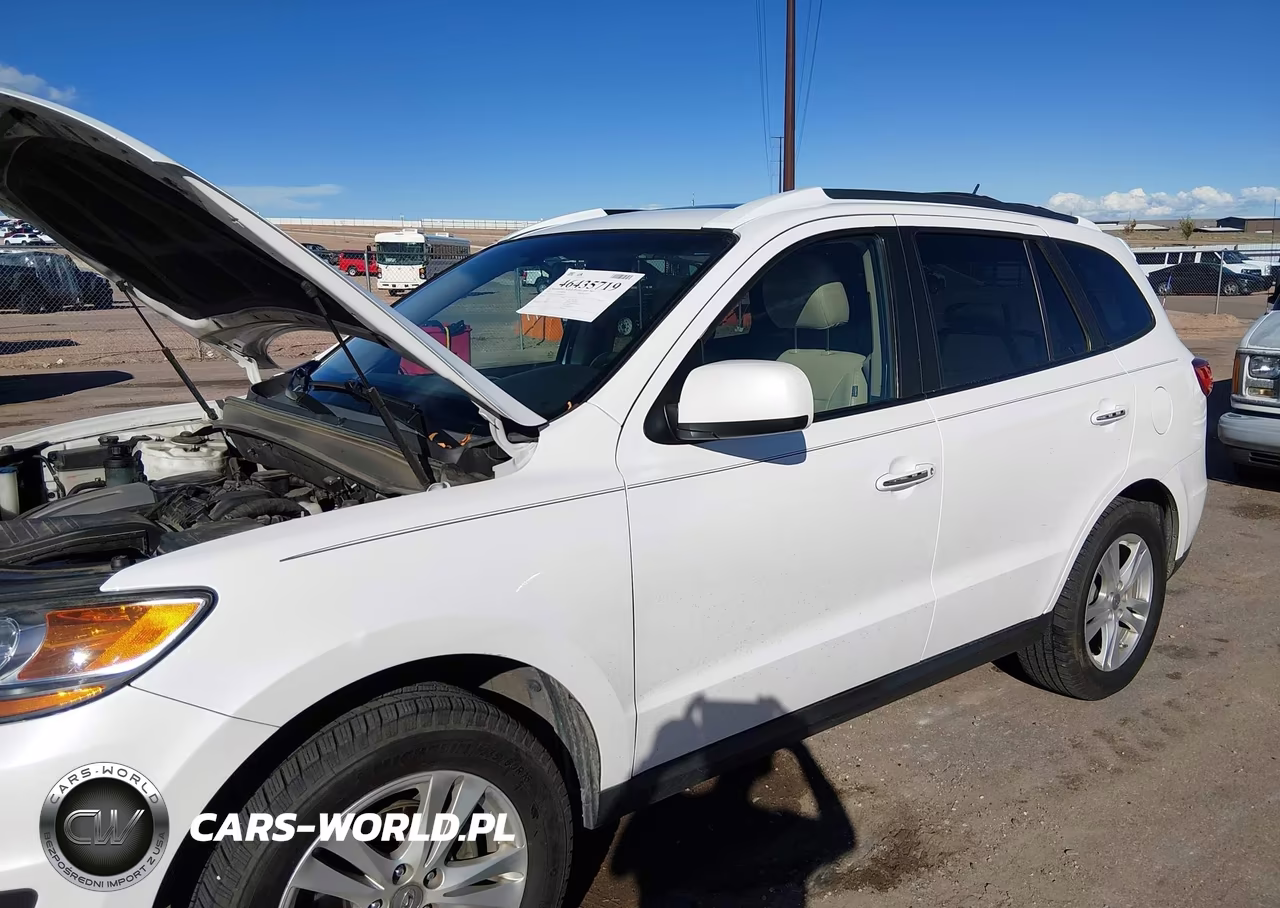 2011 Hyundai Santa Fe Limited V6 VIN:5XYZKDAG3BG069203 - 6