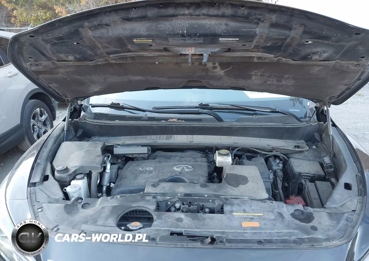 2017 Infiniti Qx60 VIN:5N1DL0MNXHC513082 - 10