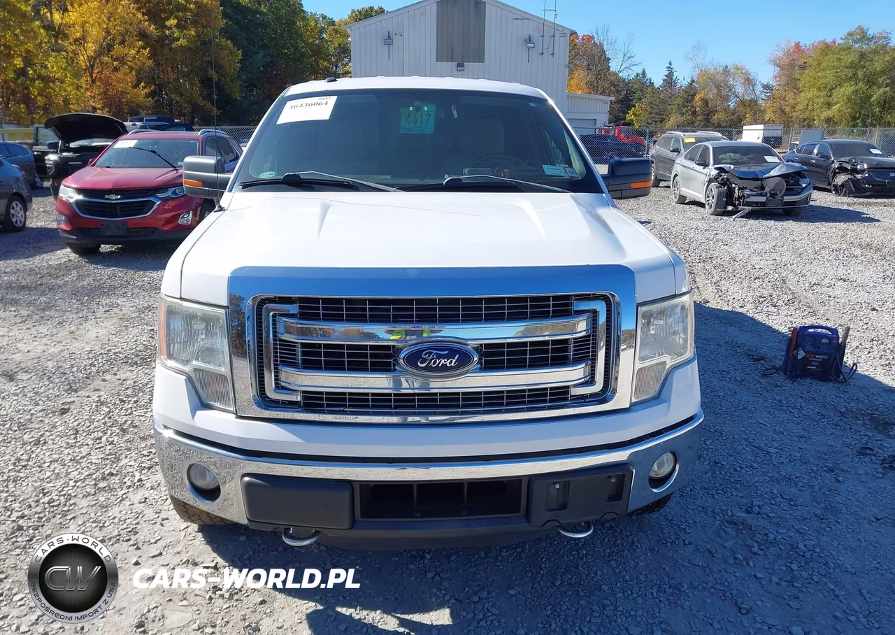 2014 Ford F-150 Xlt VIN:1FTFW1ETXEKG39743 - 12