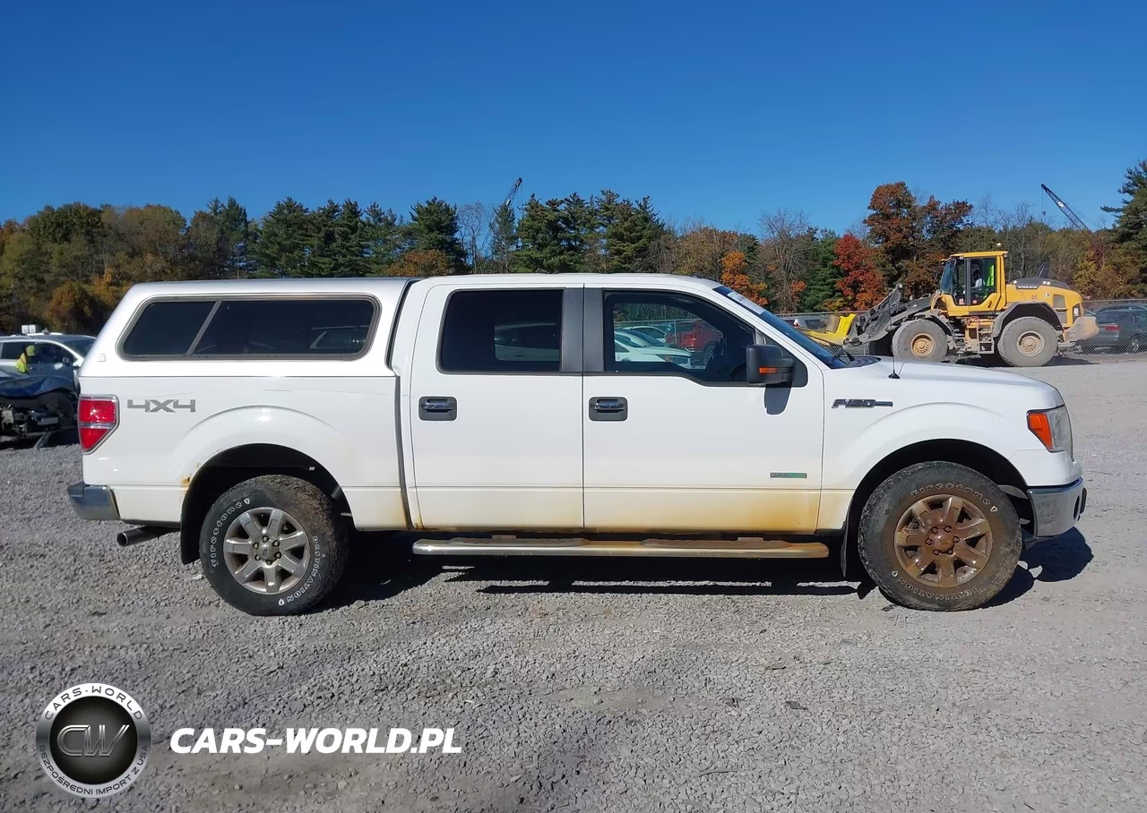 2014 Ford F-150 Xlt VIN:1FTFW1ETXEKG39743 - 13