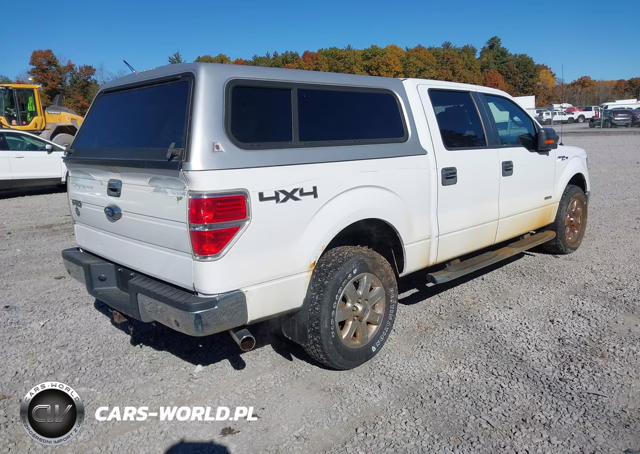 2014 Ford F-150 Xlt VIN:1FTFW1ETXEKG39743 - 4