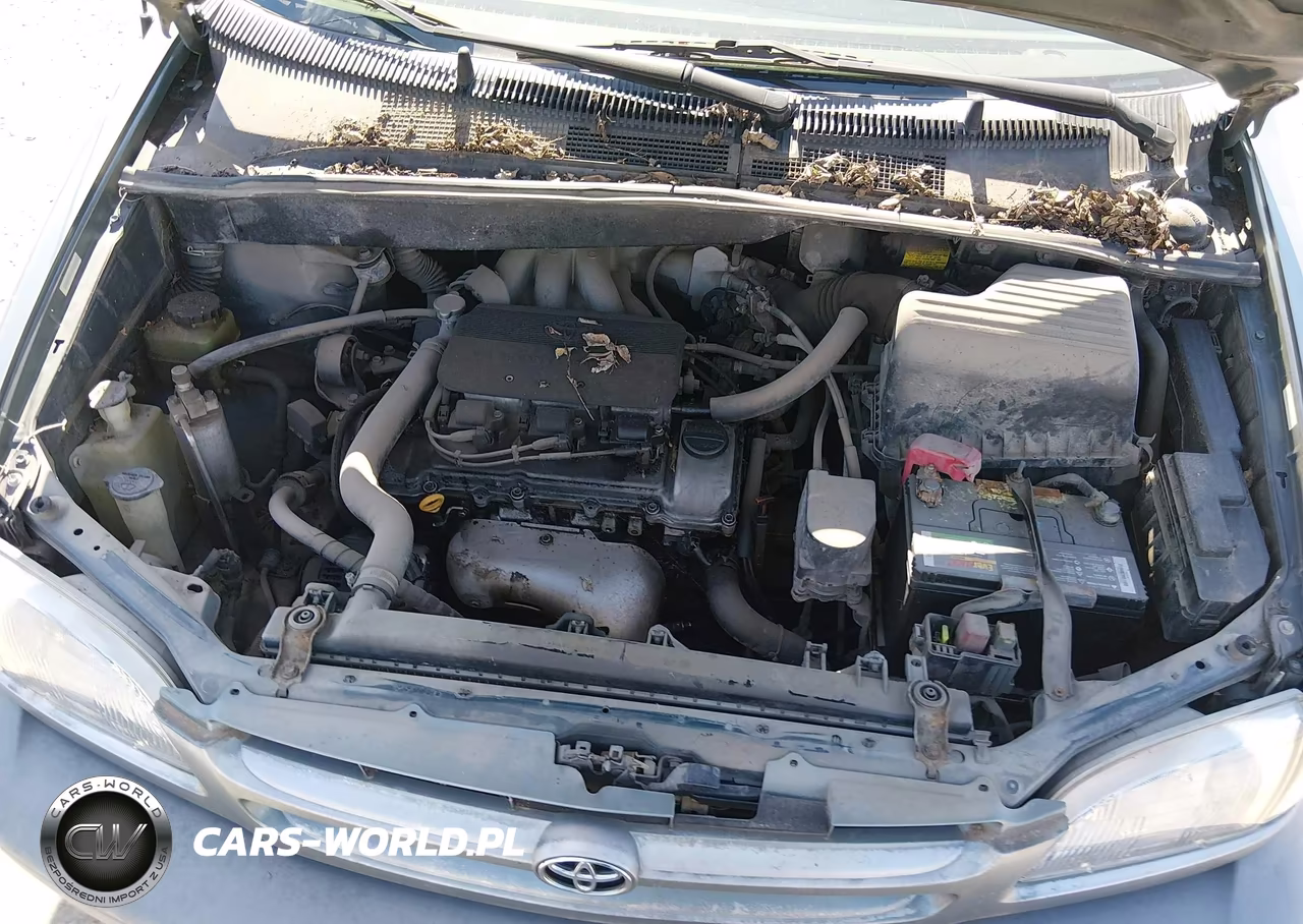 1999 Toyota Sienna Le VIN:4T3ZF13C3XU159618 - 10
