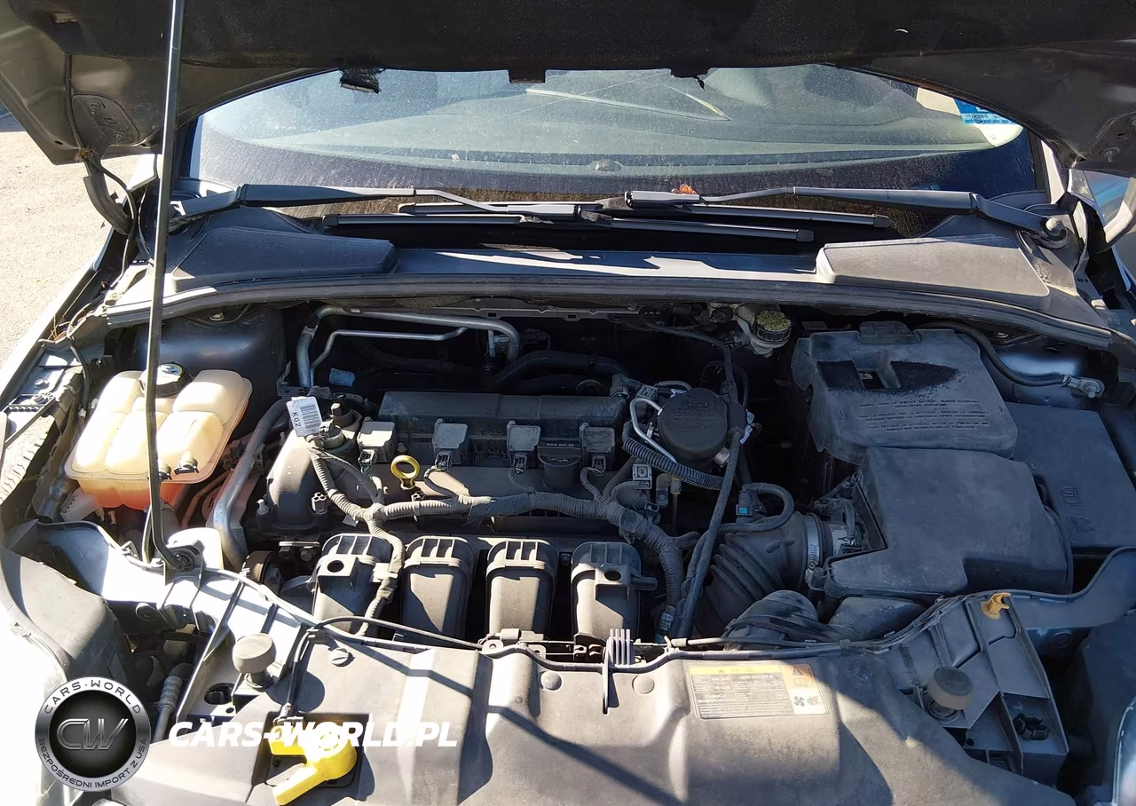 2012 Ford Focus Sel VIN:1FAHP3M22CL134416 - 10