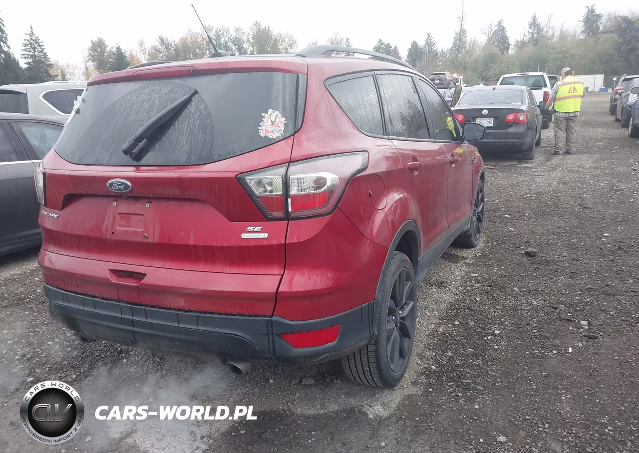 2017 Ford Escape Se VIN:1FMCU0G92HUD54401 - 4